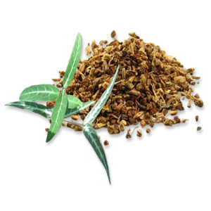 Sarsaparilla is used to detoxicate and relieve heat/dampness.