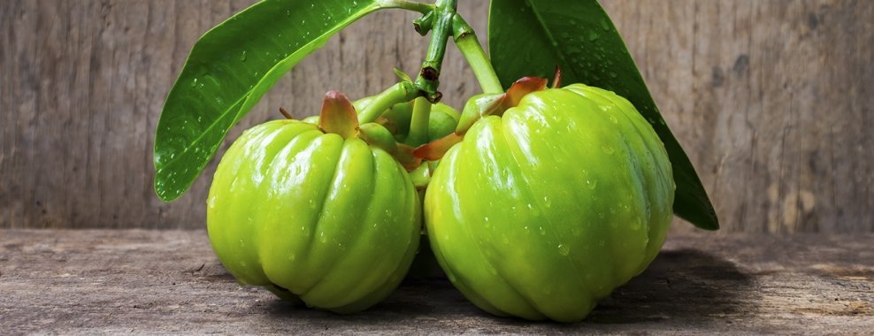 Garcinia Cambogia does not have anything to do with colon cleansing