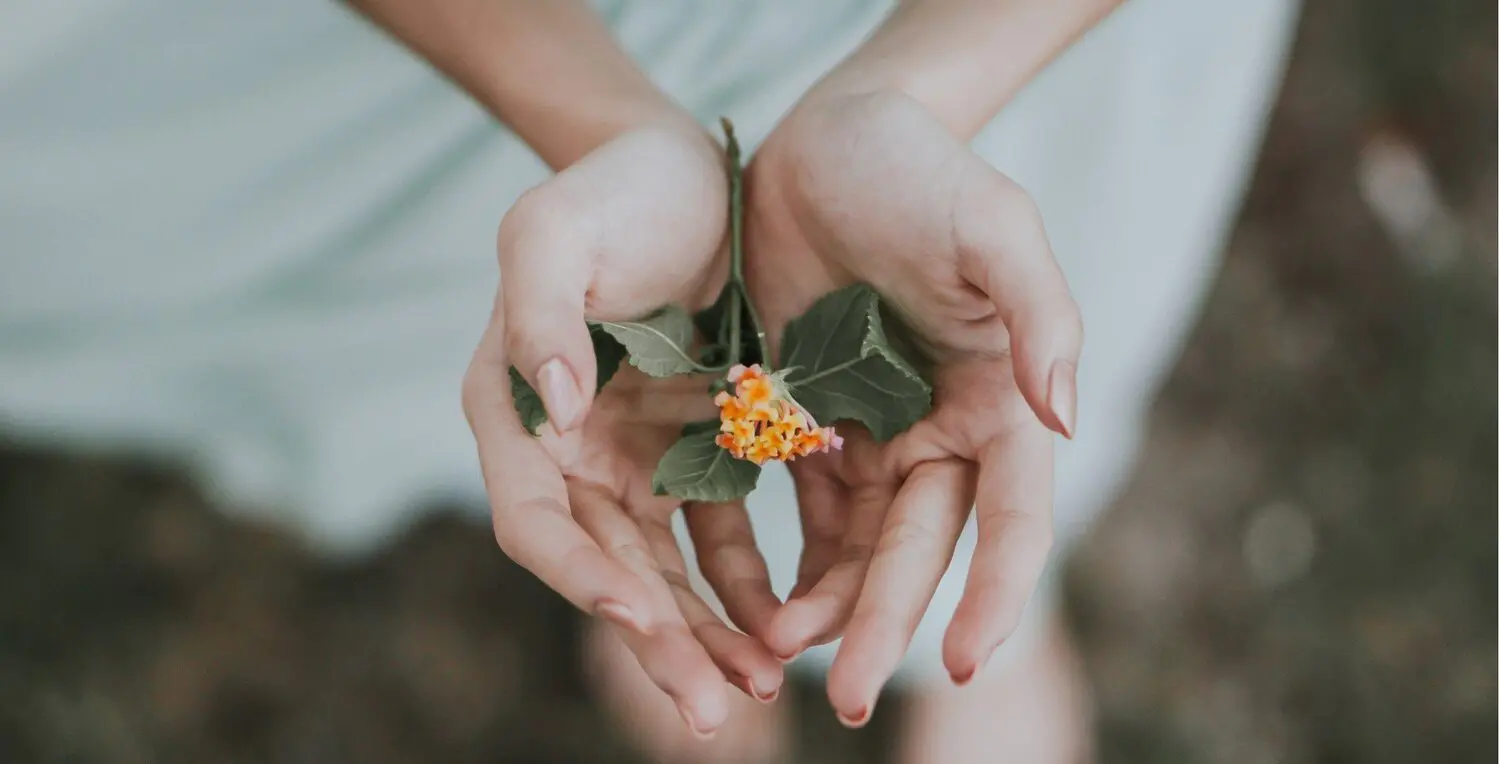 The most gentle colon cleanse is here, and it's your next win.