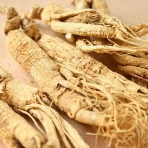Panax ginseng ingredient